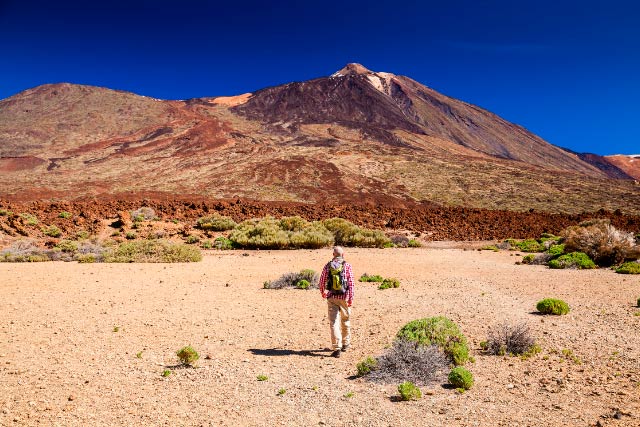 Excursión en el Parque Nacional del Teide