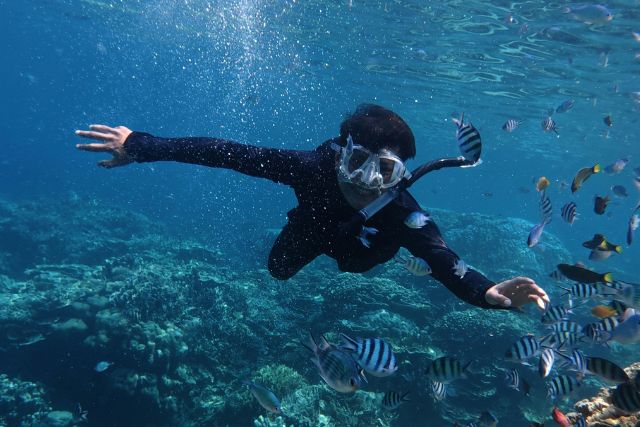 Persona haciendo snorkel cerca de Costa Adeje